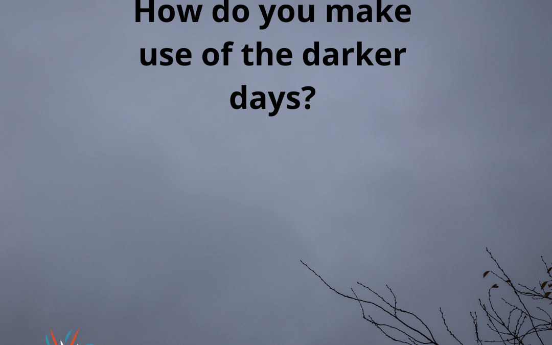 How do you make use of the darker days?