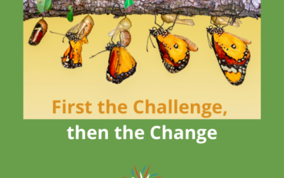 “First the Challenge, Then the Change”