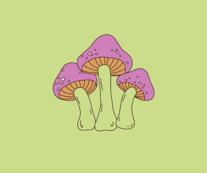 My Magic Mushroom Trip