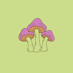 My Magic Mushroom Trip