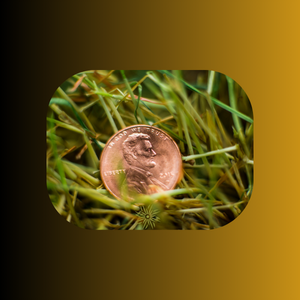 Say Yes to Little Offerings