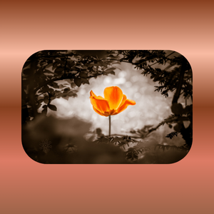 The Rising Sign’s Purpose
